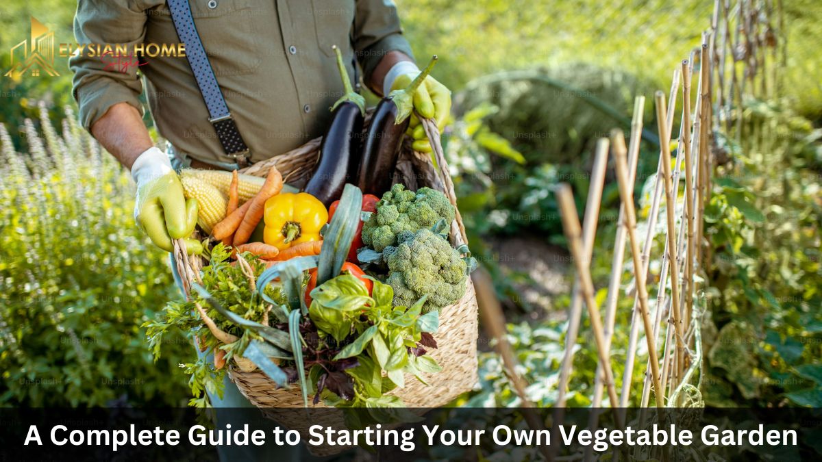 A Complete Guide to Starting Your Own Vegetable Garden