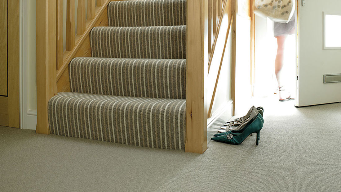 Stair Carpet Ideas